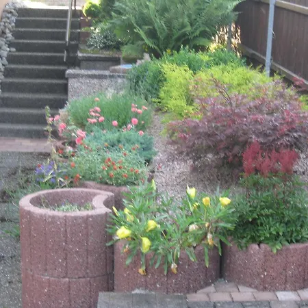 Kulla אלבשטאדט